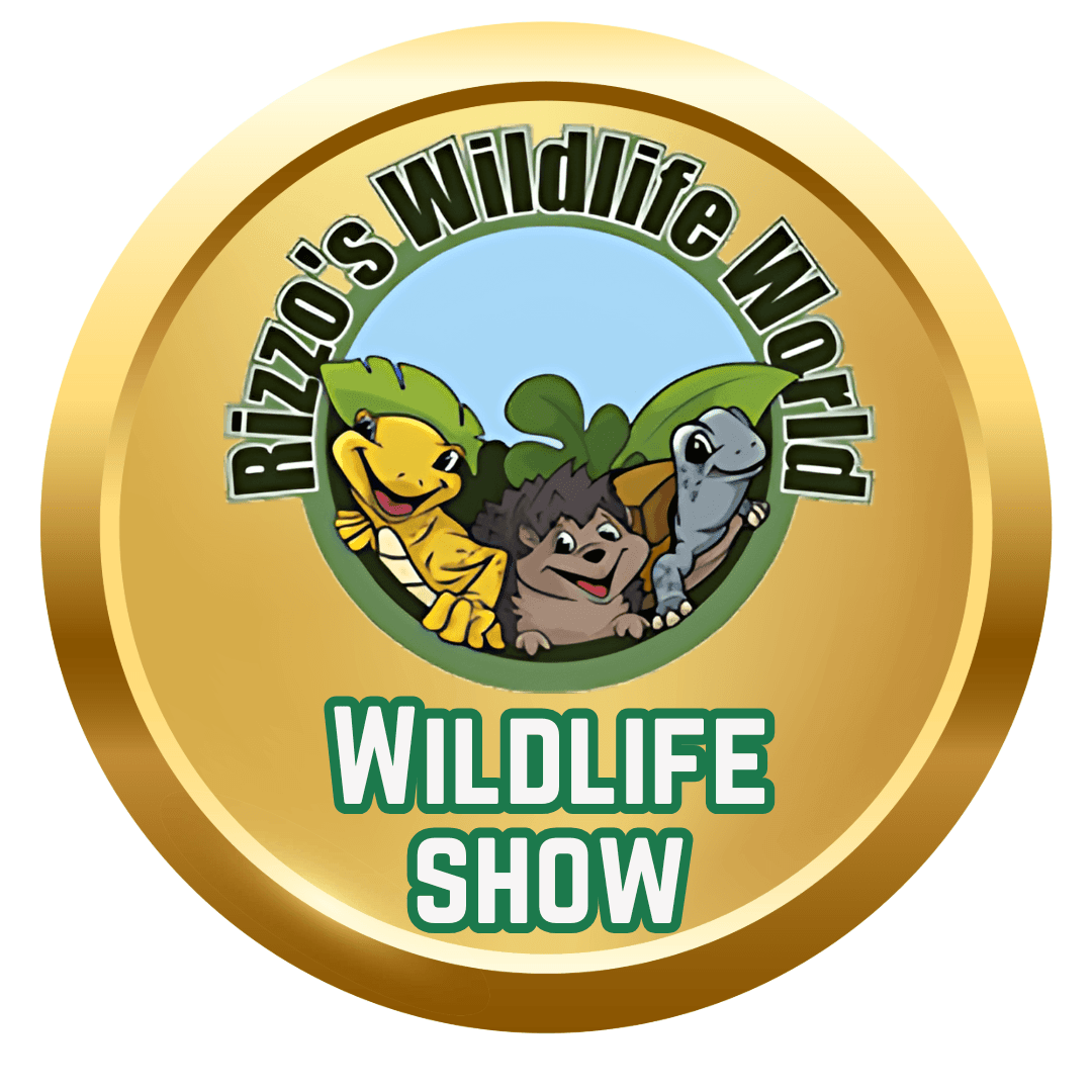 Rizzo's Wildlife Show