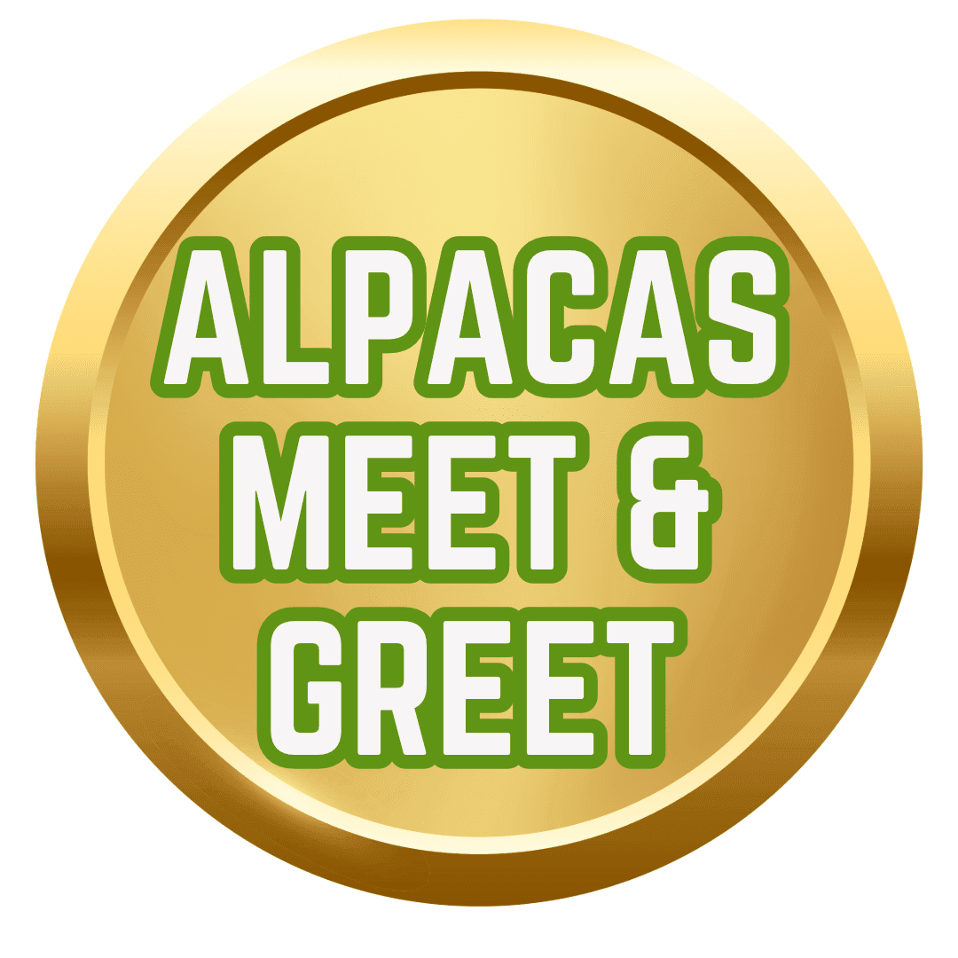Alpacas Meet & Greet